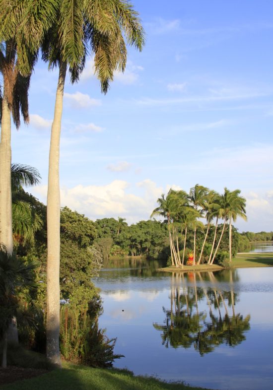 Florida Native Pond